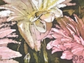 Soft Pinks ©Paige Mortensen Watercolour Batik 24 x 8" SOLD